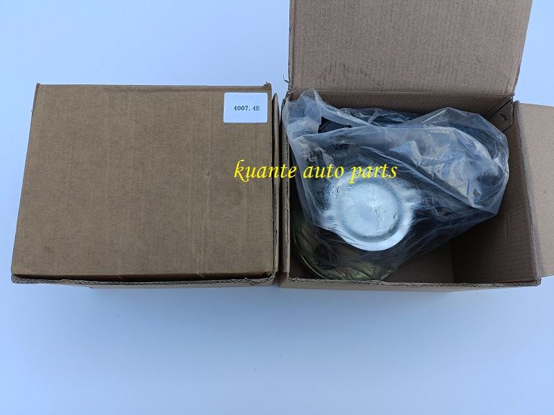 citroen power steering pump