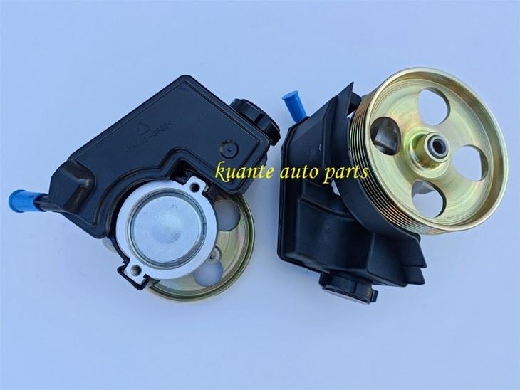 citroen power steering pump